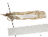  ( - CCDB-30819-H09)  @11 [ ] CreativeCommons - Attribution (2018) CBG Photography Group Centre for Biodiversity Genomics
