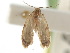  ( - CCDB-30822-D09)  @11 [ ] CreativeCommons - Attribution (2018) CBG Photography Group Centre for Biodiversity Genomics