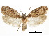  ( - CCDB-30822-E07)  @11 [ ] CreativeCommons - Attribution (2018) CBG Photography Group Centre for Biodiversity Genomics