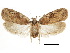  ( - CCDB-30822-E08)  @11 [ ] CreativeCommons - Attribution (2018) CBG Photography Group Centre for Biodiversity Genomics