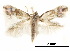  ( - CCDB-30822-H02)  @11 [ ] CreativeCommons - Attribution (2018) CBG Photography Group Centre for Biodiversity Genomics