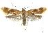  ( - CCDB-30823-C12)  @11 [ ] CreativeCommons - Attribution (2018) CBG Photography Group Centre for Biodiversity Genomics