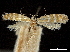  ( - CCDB-30823-G09)  @11 [ ] CreativeCommons - Attribution (2018) CBG Photography Group Centre for Biodiversity Genomics