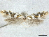  ( - CCDB-30823-H03)  @11 [ ] CreativeCommons - Attribution (2018) CBG Photography Group Centre for Biodiversity Genomics