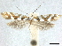 ( - CCDB-30823-H04)  @11 [ ] CreativeCommons - Attribution (2018) CBG Photography Group Centre for Biodiversity Genomics