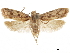  ( - CCDB-30826-B05)  @11 [ ] CreativeCommons - Attribution (2018) CBG Photography Group Centre for Biodiversity Genomics