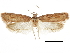  ( - CCDB-30826-E04)  @11 [ ] CreativeCommons - Attribution (2018) CBG Photography Group Centre for Biodiversity Genomics