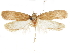  ( - CCDB-30826-E06)  @11 [ ] CreativeCommons - Attribution (2018) CBG Photography Group Centre for Biodiversity Genomics