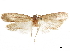  ( - CCDB-30826-E07)  @11 [ ] CreativeCommons - Attribution (2018) CBG Photography Group Centre for Biodiversity Genomics
