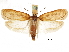  ( - CCDB-30826-E09)  @14 [ ] CreativeCommons - Attribution (2018) CBG Photography Group Centre for Biodiversity Genomics