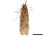 ( - CCDB-30826-E10)  @11 [ ] CreativeCommons - Attribution (2018) CBG Photography Group Centre for Biodiversity Genomics