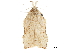  ( - CCDB-30826-G03)  @11 [ ] CreativeCommons - Attribution (2018) CBG Photography Group Centre for Biodiversity Genomics
