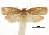  ( - CCDB-30826-H02)  @11 [ ] CreativeCommons - Attribution (2018) CBG Photography Group Centre for Biodiversity Genomics