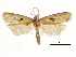  ( - CCDB-30826-H06)  @11 [ ] CreativeCommons - Attribution (2018) CBG Photography Group Centre for Biodiversity Genomics