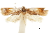  ( - CCDB-30827-A05)  @11 [ ] CreativeCommons - Attribution (2018) CBG Photography Group Centre for Biodiversity Genomics