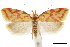  ( - CCDB-30827-B04)  @14 [ ] CreativeCommons - Attribution (2018) CBG Photography Group Centre for Biodiversity Genomics