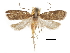  ( - CCDB-30828-G01)  @13 [ ] CreativeCommons - Attribution (2018) CBG Photography Group Centre for Biodiversity Genomics