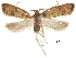  ( - CCDB-30828-G02)  @14 [ ] CreativeCommons - Attribution (2018) CBG Photography Group Centre for Biodiversity Genomics