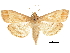  ( - CCDB-31553-A02)  @11 [ ] CreativeCommons - Attribution (2018) CBG Photography Group Centre for Biodiversity Genomics