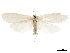 ( - CCDB-31553-C05)  @11 [ ] CreativeCommons - Attribution (2018) CBG Photography Group Centre for Biodiversity Genomics