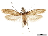  ( - CCDB-31553-E11)  @11 [ ] CreativeCommons - Attribution (2018) CBG Photography Group Centre for Biodiversity Genomics