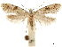  ( - CCDB-31553-F01)  @11 [ ] CreativeCommons - Attribution (2018) CBG Photography Group Centre for Biodiversity Genomics