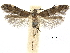  ( - CCDB-32139-B03)  @11 [ ] CreativeCommons - Attribution (2018) CBG Photography Group Centre for Biodiversity Genomics