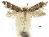  ( - CCDB-32139-E01)  @11 [ ] CreativeCommons - Attribution (2018) CBG Photography Group Centre for Biodiversity Genomics