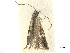  ( - CCDB-32139-E02)  @11 [ ] CreativeCommons - Attribution (2018) CBG Photography Group Centre for Biodiversity Genomics