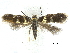  ( - CCDB-32139-E07)  @11 [ ] CreativeCommons - Attribution (2018) CBG Photography Group Centre for Biodiversity Genomics