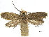  ( - CCDB-32139-G01)  @11 [ ] CreativeCommons - Attribution (2018) CBG Photography Group Centre for Biodiversity Genomics