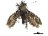 ( - CCDB-32139-H06)  @11 [ ] CreativeCommons - Attribution (2018) CBG Photography Group Centre for Biodiversity Genomics