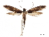  ( - CCDB-32973-B09)  @11 [ ] CreativeCommons - Attribution (2019) CBG Photography Group Centre for Biodiversity Genomics