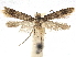  ( - CCDB-32973-C08)  @11 [ ] CreativeCommons - Attribution (2019) CBG Photography Group Centre for Biodiversity Genomics