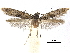  ( - CCDB-32973-C12)  @11 [ ] CreativeCommons - Attribution (2019) CBG Photography Group Centre for Biodiversity Genomics
