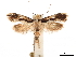  ( - CCDB-32973-F07)  @13 [ ] CreativeCommons - Attribution (2019) CBG Photography Group Centre for Biodiversity Genomics