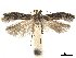  ( - CCDB-32974-G06)  @11 [ ] CreativeCommons - Attribution (2019) CBG Photography Group Centre for Biodiversity Genomics
