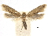  ( - CCDB-32975-A12)  @11 [ ] CreativeCommons - Attribution (2019) CBG Photography Group Centre for Biodiversity Genomics