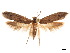  ( - CCDB-32977-B12)  @11 [ ] CreativeCommons - Attribution (2019) CBG Photography Group Centre for Biodiversity Genomics