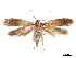  ( - CCDB-32977-C02)  @11 [ ] CreativeCommons - Attribution (2019) CBG Photography Group Centre for Biodiversity Genomics