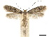  ( - CCDB-32977-C11)  @11 [ ] CreativeCommons - Attribution (2019) CBG Photography Group Centre for Biodiversity Genomics