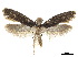  ( - CCDB-32977-D08)  @11 [ ] CreativeCommons - Attribution (2019) CBG Photography Group Centre for Biodiversity Genomics