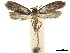  ( - CCDB-32977-D09)  @11 [ ] CreativeCommons - Attribution (2019) CBG Photography Group Centre for Biodiversity Genomics