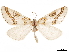  ( - CCDB-32978-H02)  @11 [ ] CreativeCommons - Attribution (2019) CBG Photography Group Centre for Biodiversity Genomics