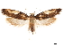  ( - CCDB-33189-B02)  @13 [ ] CreativeCommons - Attribution (2019) CBG Photography Group Centre for Biodiversity Genomics