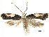  ( - CCDB-33189-B03)  @12 [ ] CreativeCommons - Attribution (2019) CBG Photography Group Centre for Biodiversity Genomics