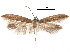  ( - CCDB-30824-C12)  @11 [ ] CreativeCommons - Attribution (2018) CBG Photography Group Centre for Biodiversity Genomics