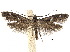  ( - CCDB-30824-H04)  @11 [ ] CreativeCommons - Attribution (2018) CBG Photography Group Centre for Biodiversity Genomics