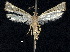  ( - CCDB-30825-B08)  @11 [ ] CreativeCommons - Attribution (2018) CBG Photography Group Centre for Biodiversity Genomics