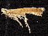  ( - CCDB-30825-D06)  @11 [ ] CreativeCommons - Attribution (2018) CBG Photography Group Centre for Biodiversity Genomics